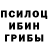 Псилоцибиновые грибы ЛСД Zastupnyk Dzherelo