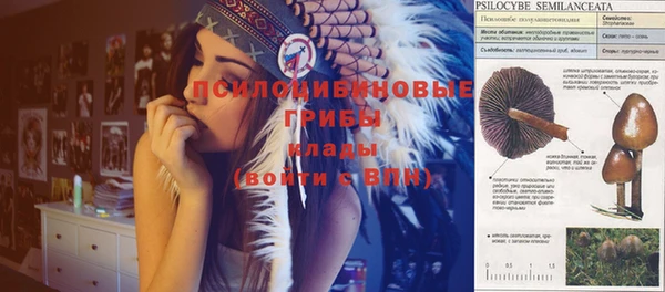 ешки Алексин